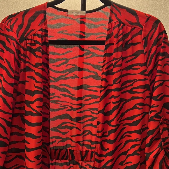 Pleione cover up - Picture 2 of 5